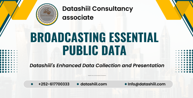 Datashiil’s Enhanced Data Collection and Presentation